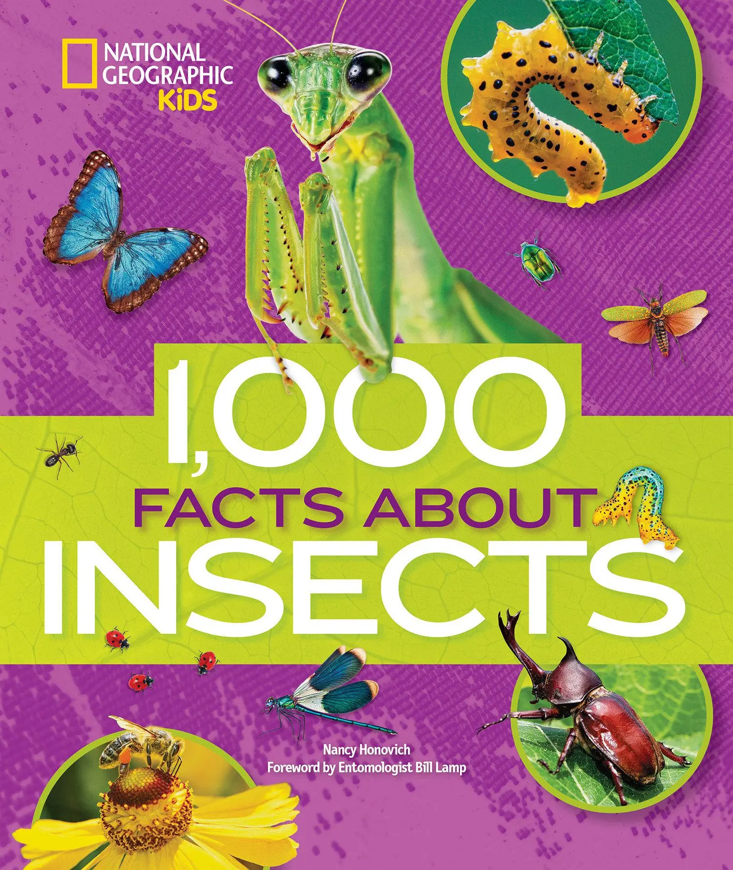 Cover: 9781426329937 | 1,000 Facts about Insects | Nancy Honovich | Buch | Englisch | 2018