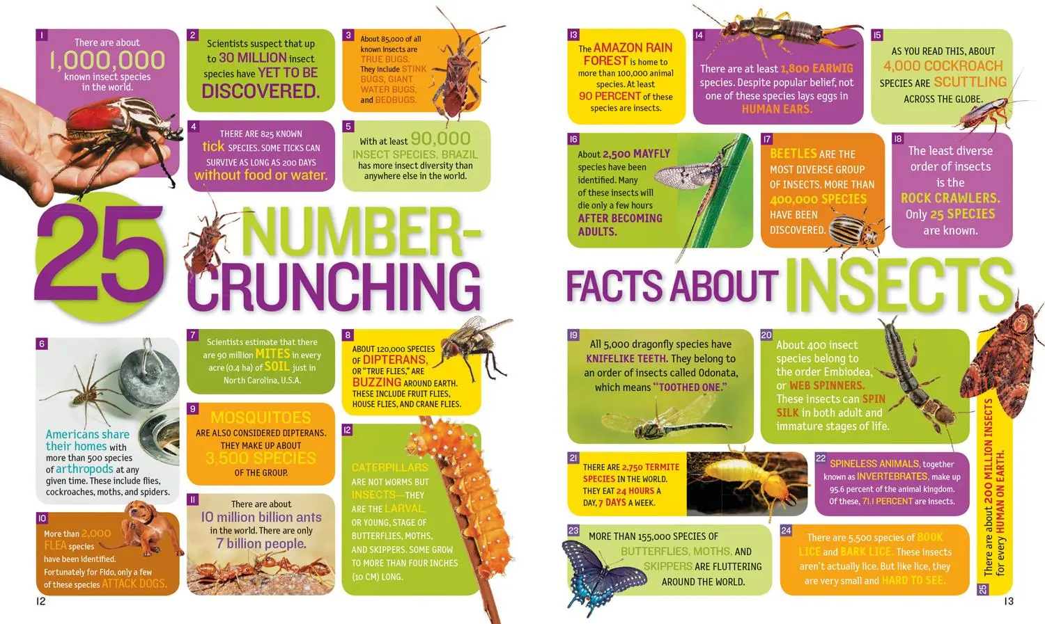 Bild: 9781426329937 | 1,000 Facts about Insects | Nancy Honovich | Buch | Englisch | 2018