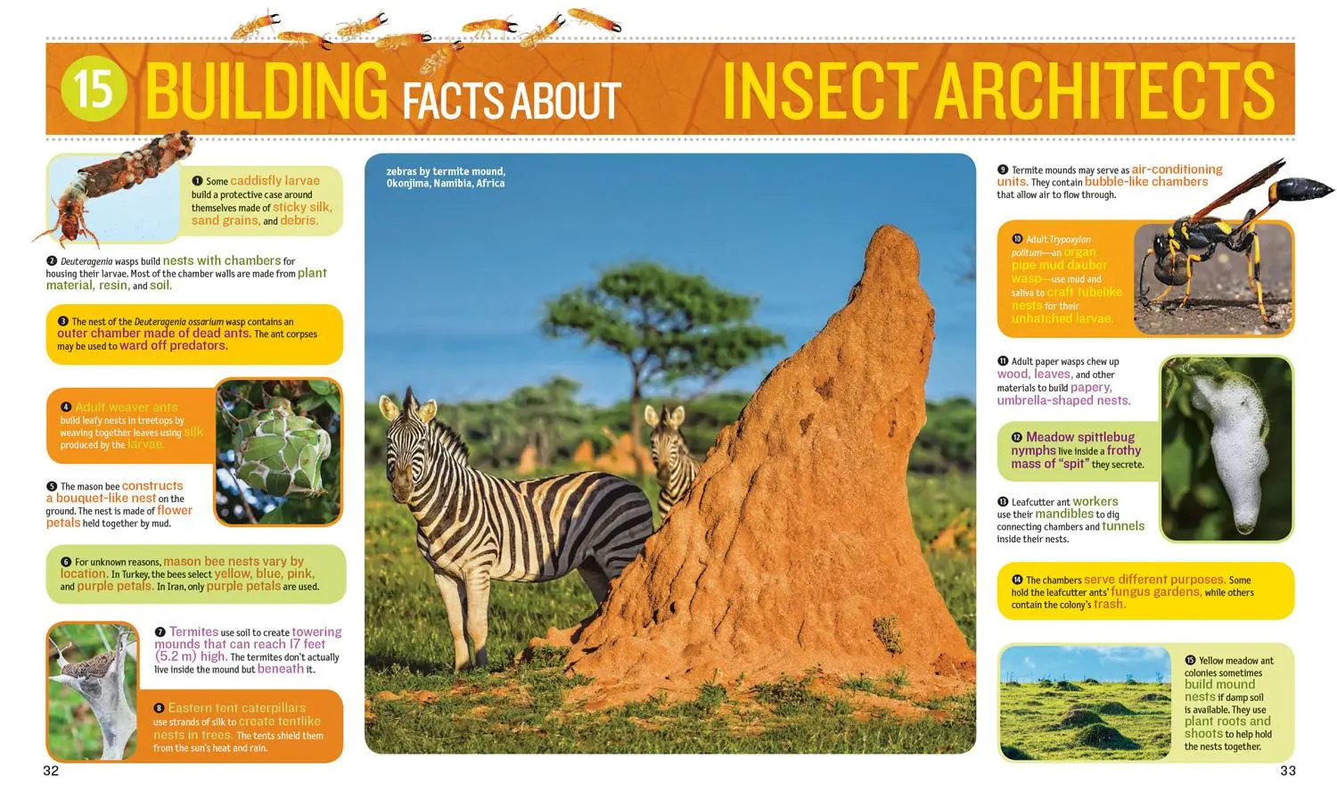Bild: 9781426329937 | 1,000 Facts about Insects | Nancy Honovich | Buch | Englisch | 2018