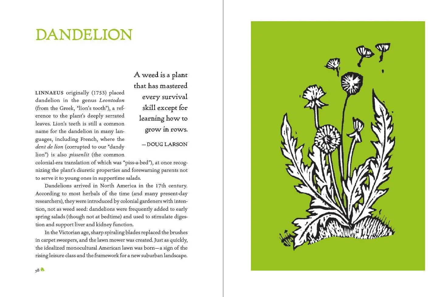 Bild: 9781604699937 | The Heirloom Gardener | John Forti | Buch | Gebunden | Englisch | 2021