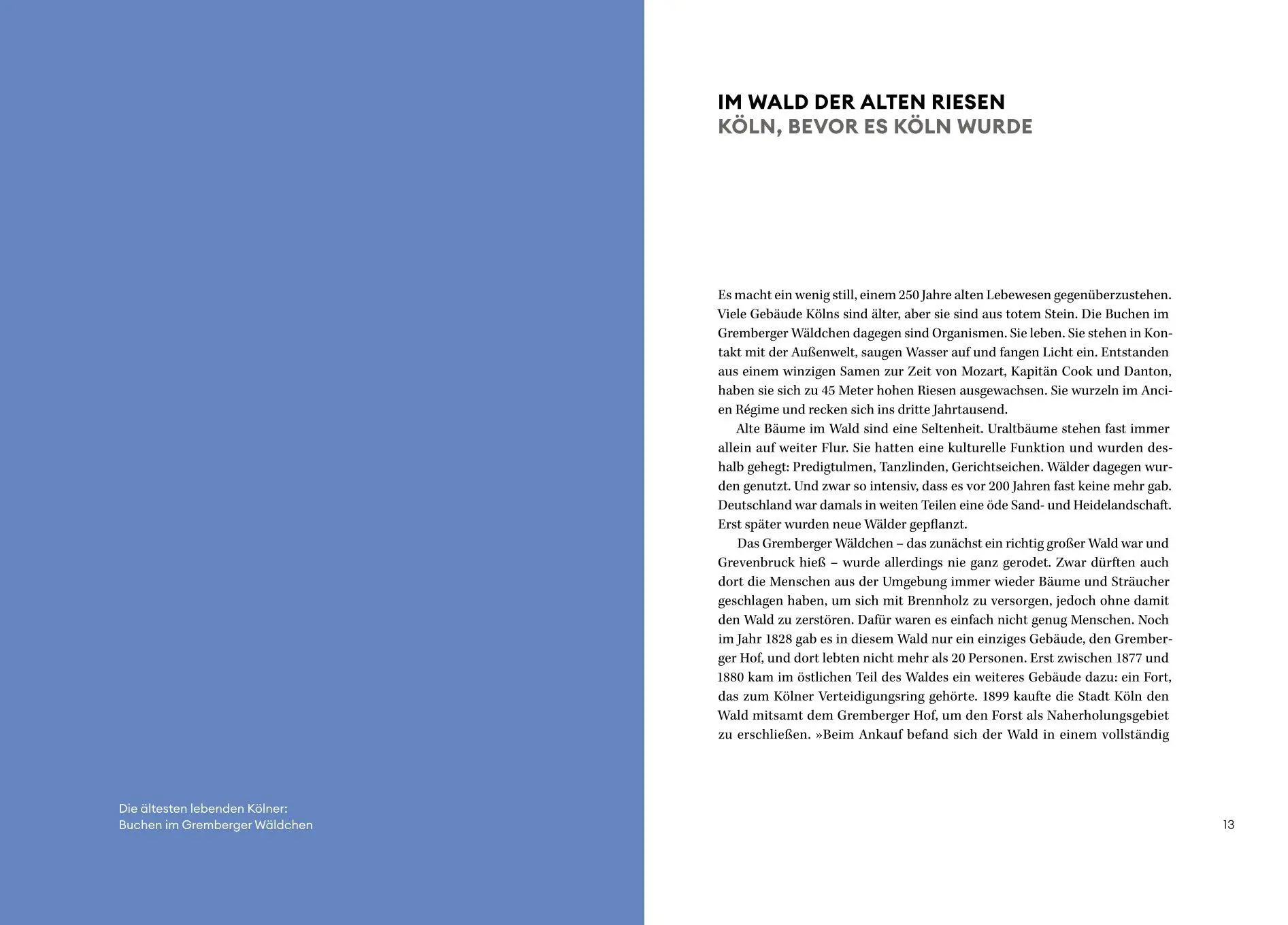 Bild: 9783774309937 | Köln | Barbara Driessen (u. a.) | Buch | 288 S. | Deutsch | 2025