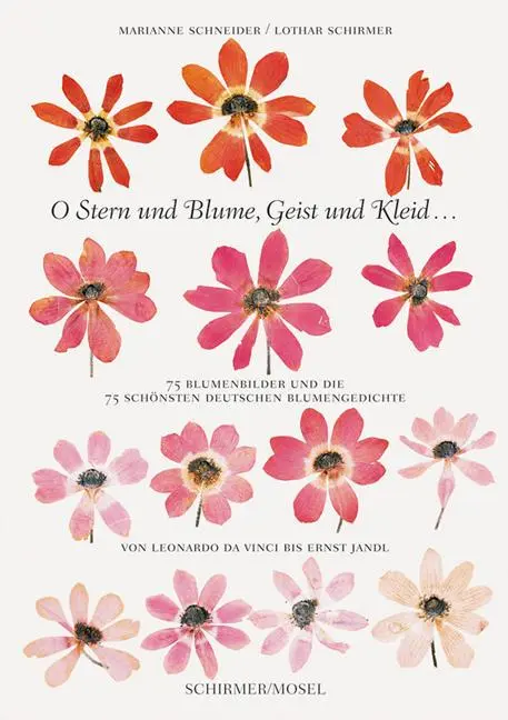 Cover: 9783829609937 | O Stern und Blume, Geist und Kleid... | Marianne Schneider (u. a.)