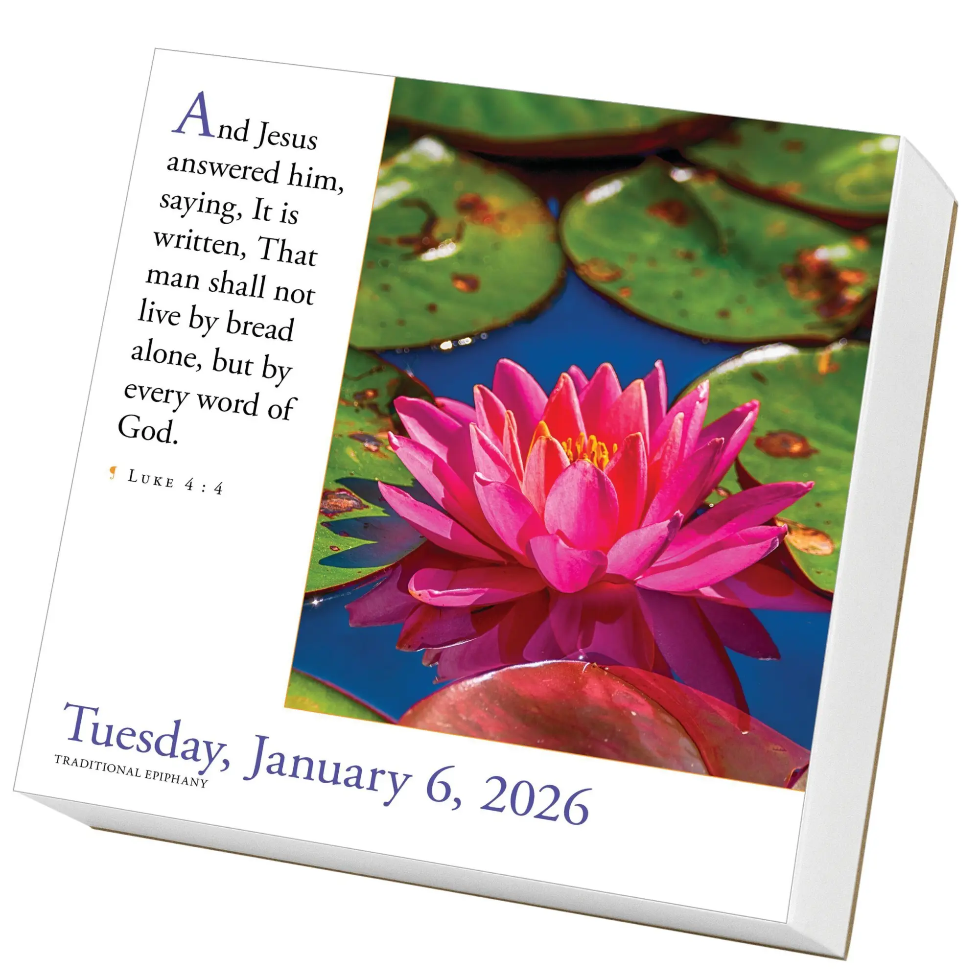 Bild: 9781523530038 | 365 Bible Verses-A-Year Page-A-Day(r) Calendar 2026 | Calendars | 2026