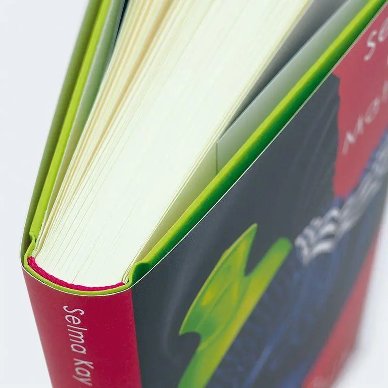 Bild: 9783446280038 | Muskeln aus Plastik | Kay Matter | Buch | 240 S. | Deutsch | 2024