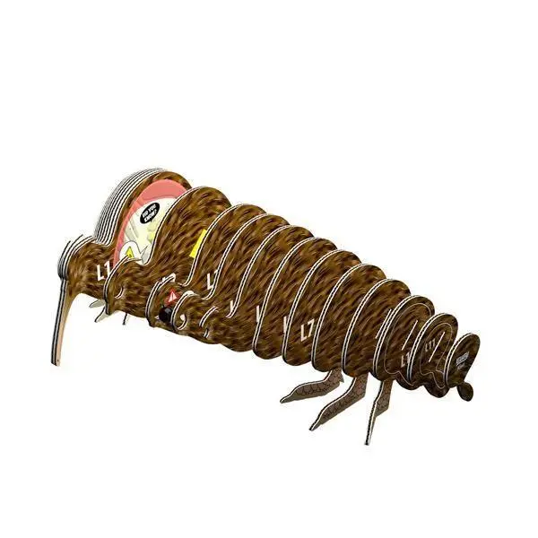 Bild: 9421036940138 | EUGY - 3D Bastelset Brauner Kiwi | Eugy | Kit (Bastelset) | 650091