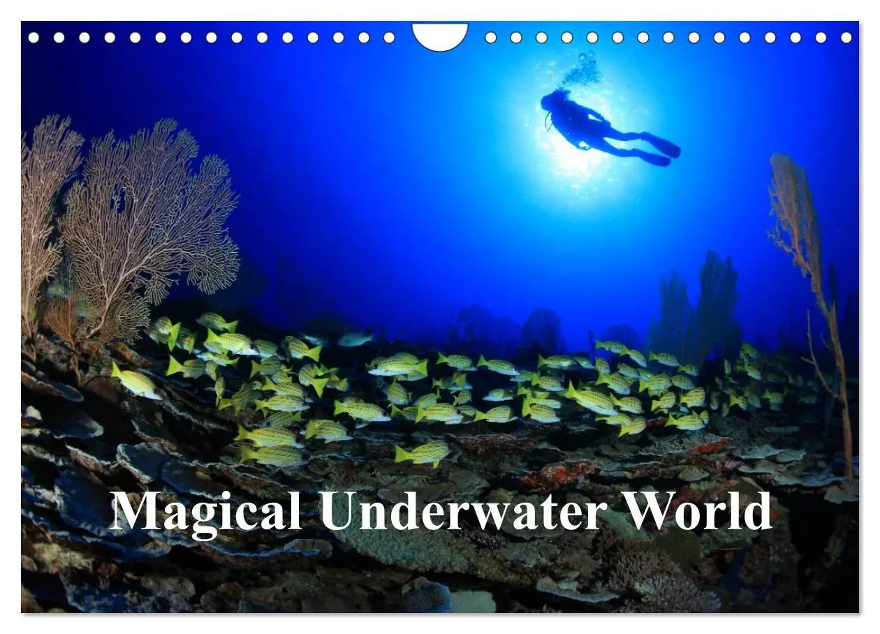Cover: 9783516560138 | Magical Underwater World (Wall Calendar 2026 DIN A4 landscape),...