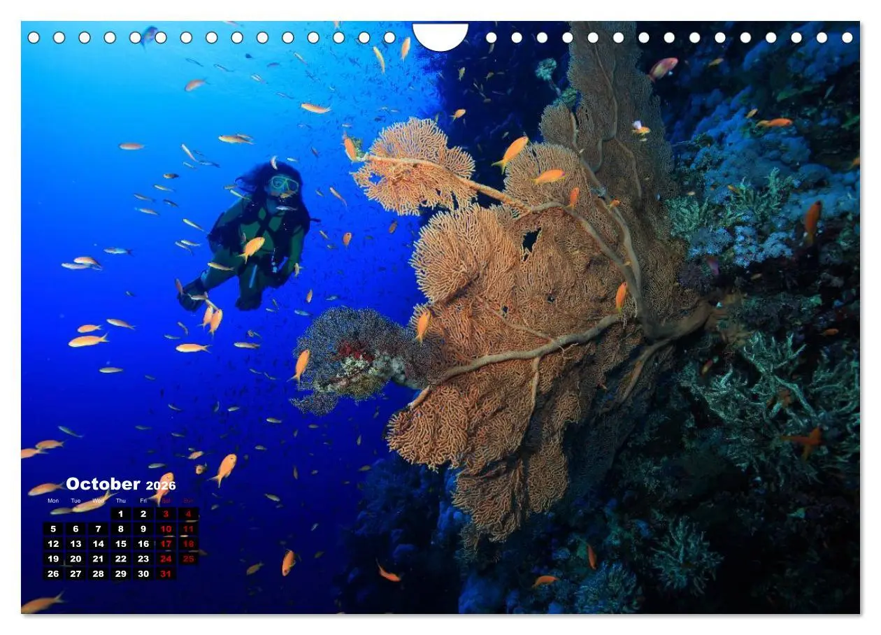 Bild: 9783516560138 | Magical Underwater World (Wall Calendar 2026 DIN A4 landscape),...