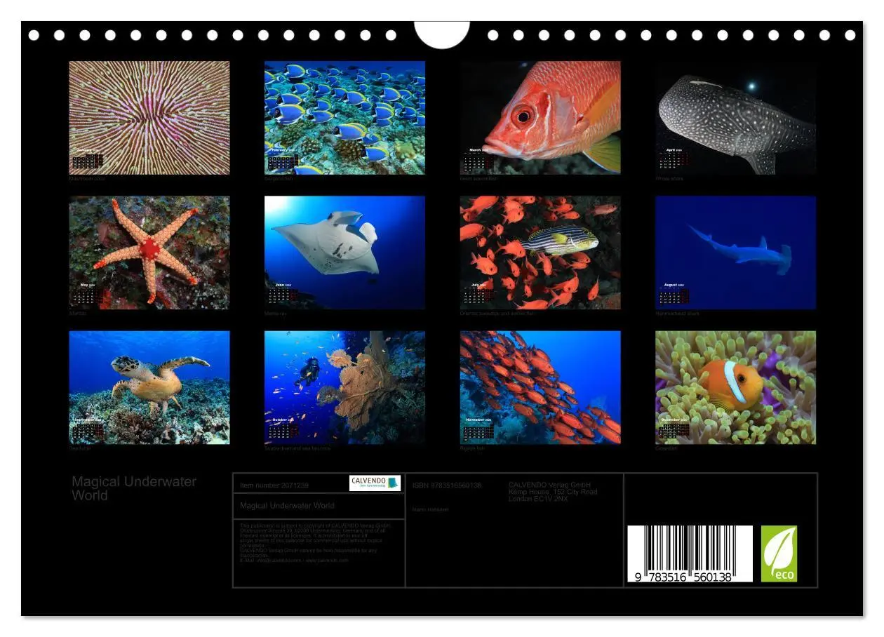 Bild: 9783516560138 | Magical Underwater World (Wall Calendar 2026 DIN A4 landscape),...