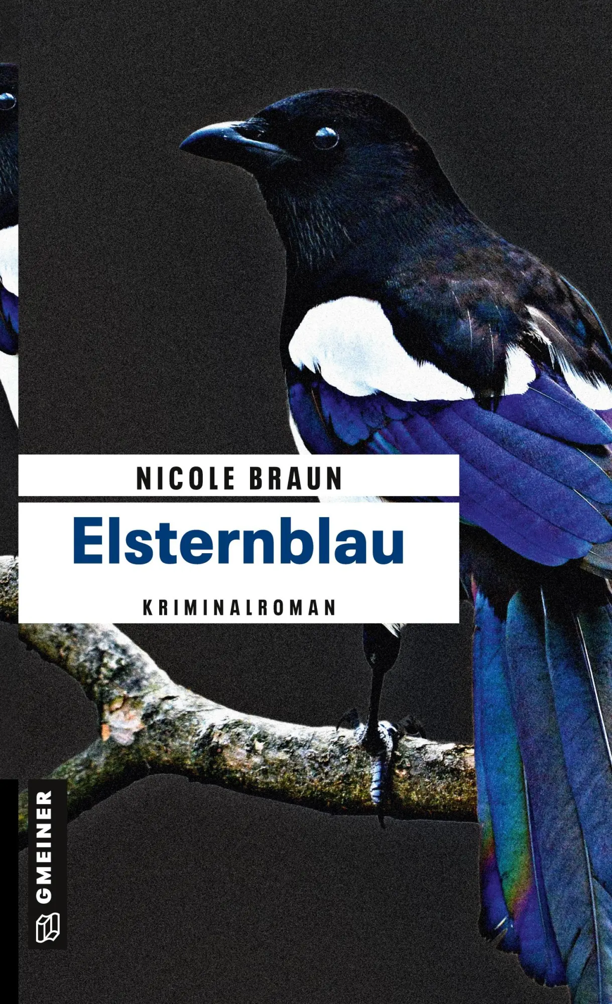 Cover: 9783839220238 | Elsternblau | Der zweite Fall für Edgar Brix | Nicole Braun | Buch