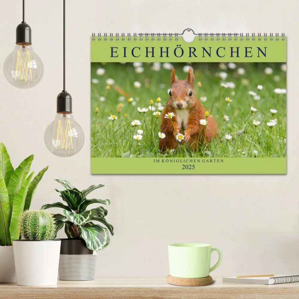 Bild: 9783435670338 | Eichhörnchen im Königlichen Garten (Wandkalender 2025 DIN A4 quer),...