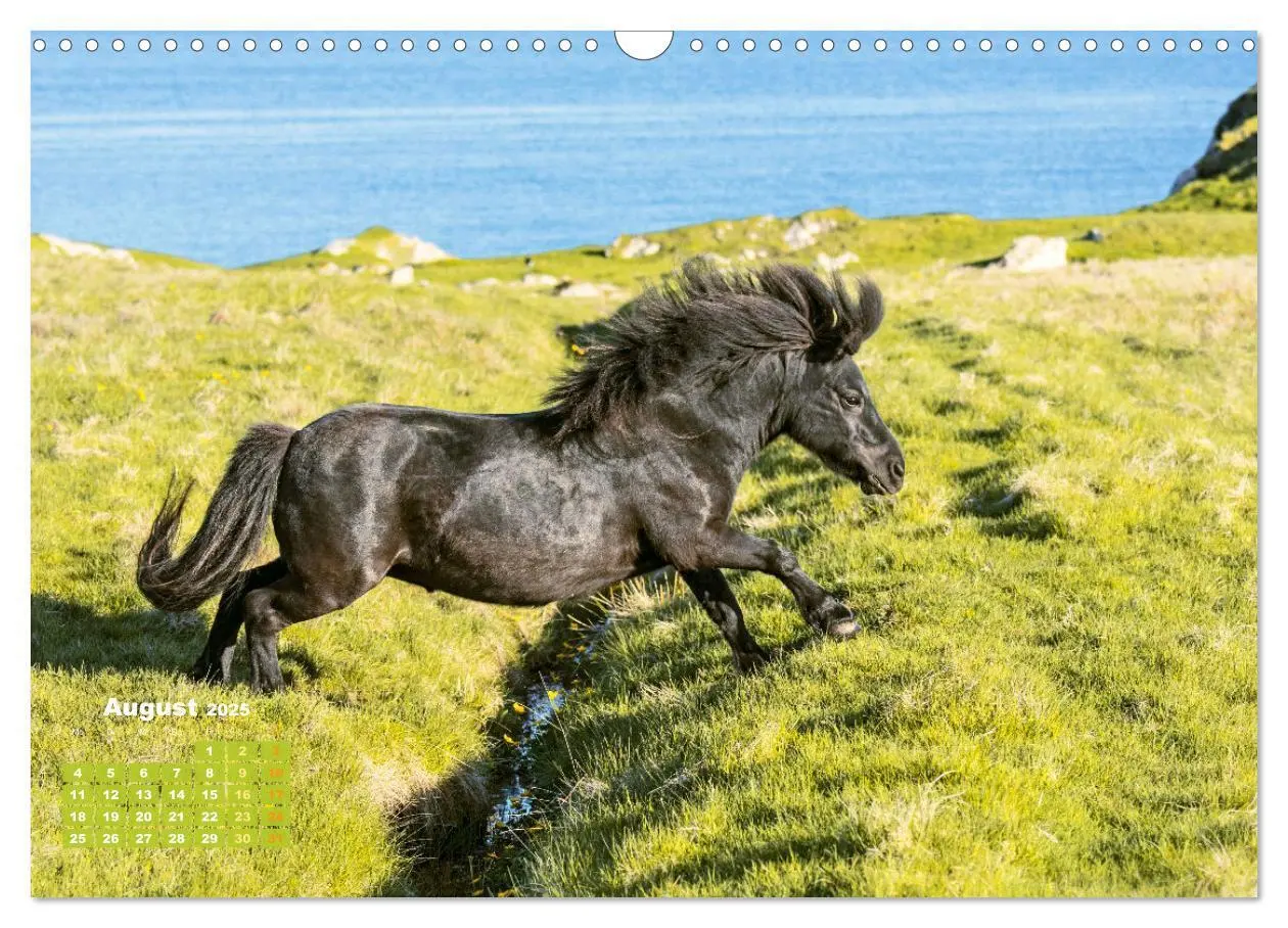 Bild: 9783457140338 | Naturschauspiele in Schottland (Wandkalender 2025 DIN A3 quer),...