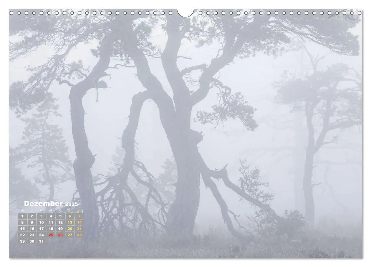 Bild: 9783457140338 | Naturschauspiele in Schottland (Wandkalender 2025 DIN A3 quer),...
