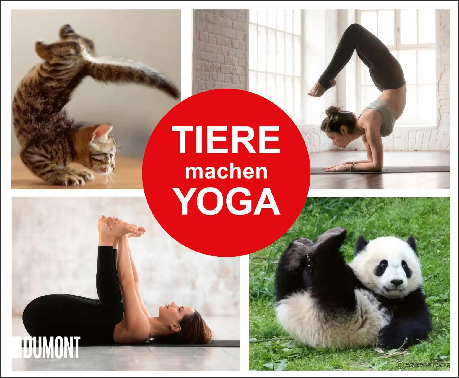 Cover: 9783755820338 | Tiere machen Yoga | Taschenbuch | (Fast) immer lustig | 144 S. | 2026