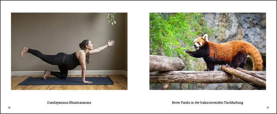 Bild: 9783755820338 | Tiere machen Yoga | Taschenbuch | (Fast) immer lustig | 144 S. | 2026