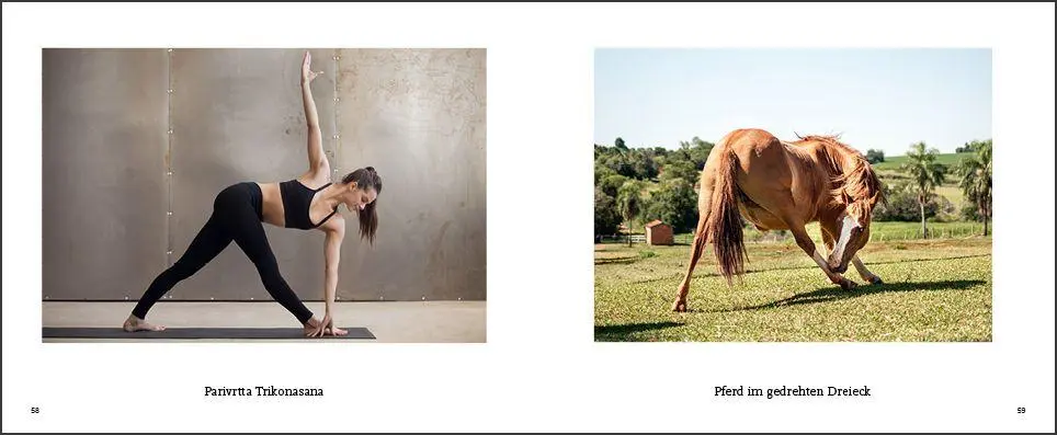 Bild: 9783755820338 | Tiere machen Yoga | Taschenbuch | (Fast) immer lustig | 144 S. | 2026