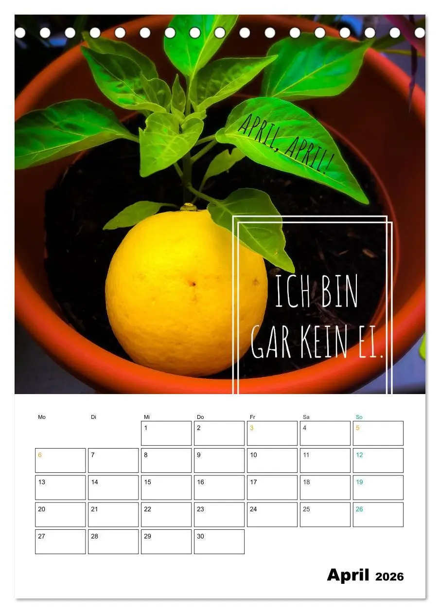 Bild: 9783516390438 | Mit Eiern durch's Jahr. (Tischkalender 2026 DIN A5 hoch), CALVENDO...