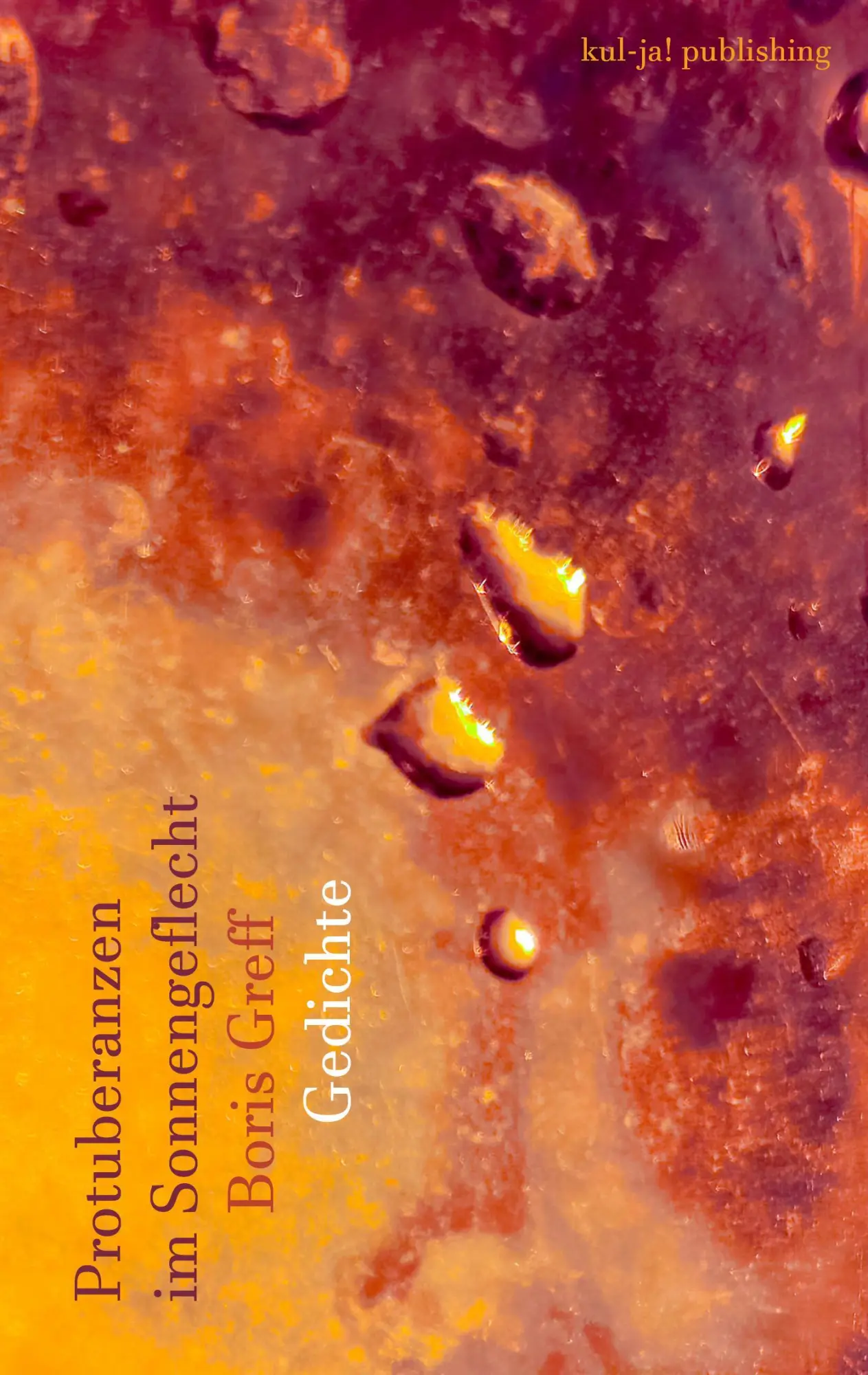 Cover: 9783949260438 | Protuberanzen im Sonnengeflecht | Boris Greff | Taschenbuch | 92 S.