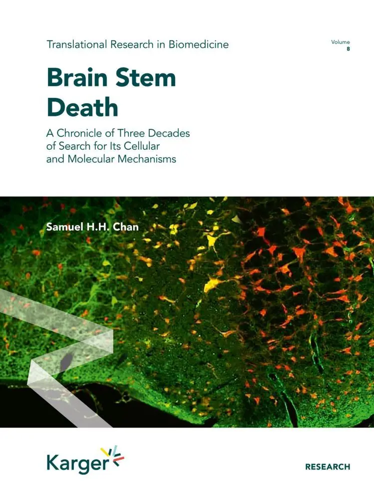 Brain Stem Death