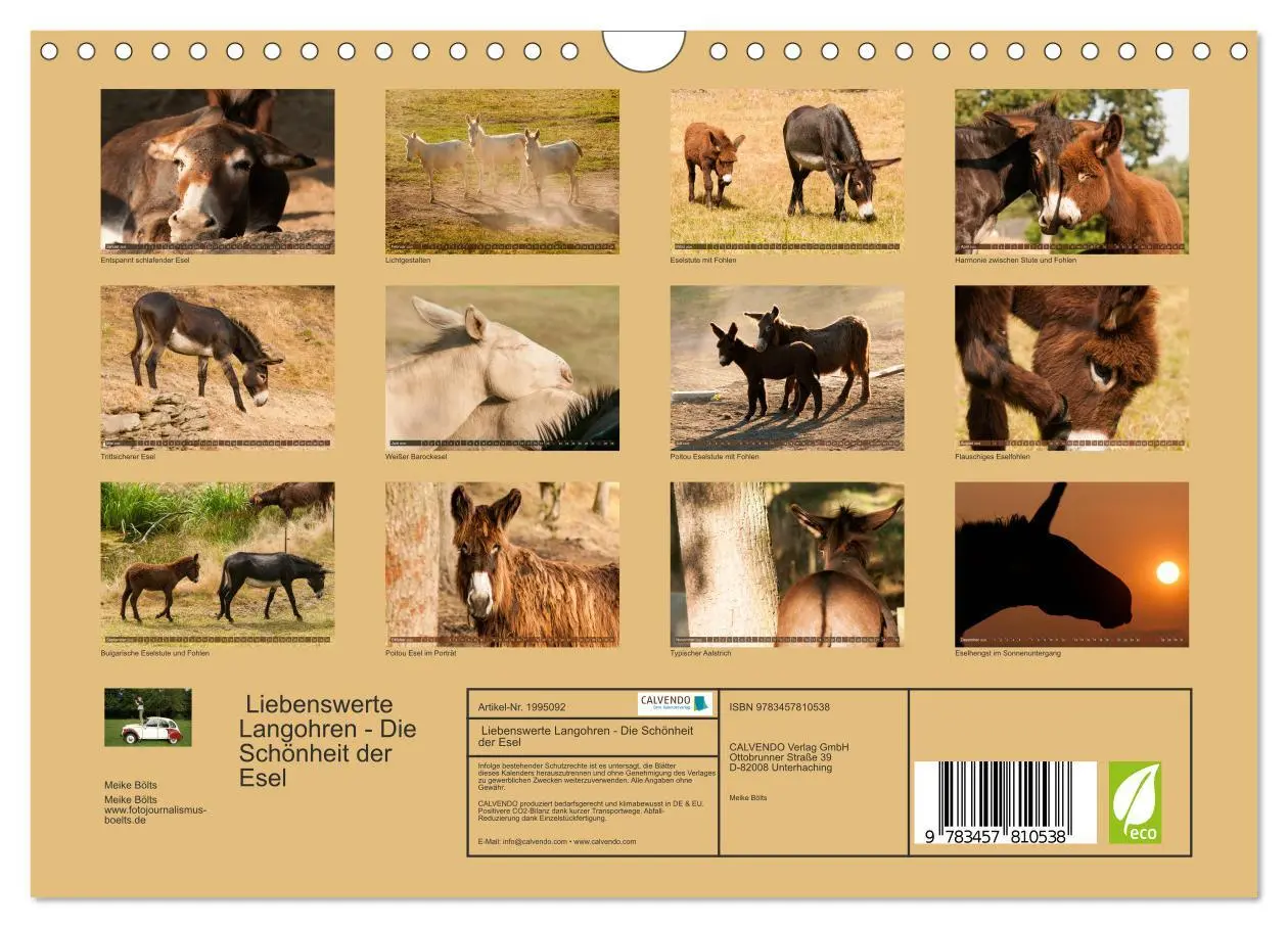 Bild: 9783457810538 | Liebenswerte Langohren - Die Schönheit der Esel (Wandkalender 2026...