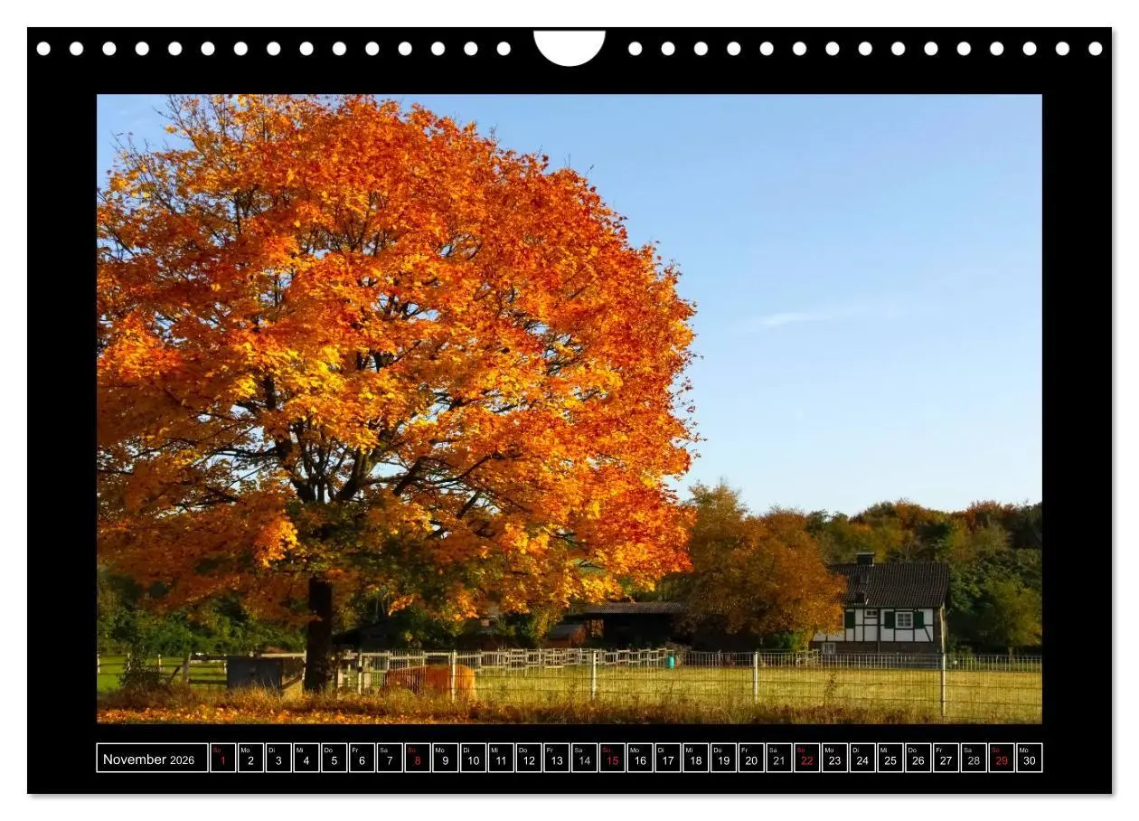 Bild: 9783516070538 | Ratinger Bilderbogen (Wandkalender 2026 DIN A4 quer), CALVENDO...
