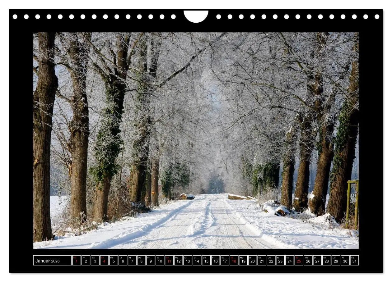 Bild: 9783516070538 | Ratinger Bilderbogen (Wandkalender 2026 DIN A4 quer), CALVENDO...