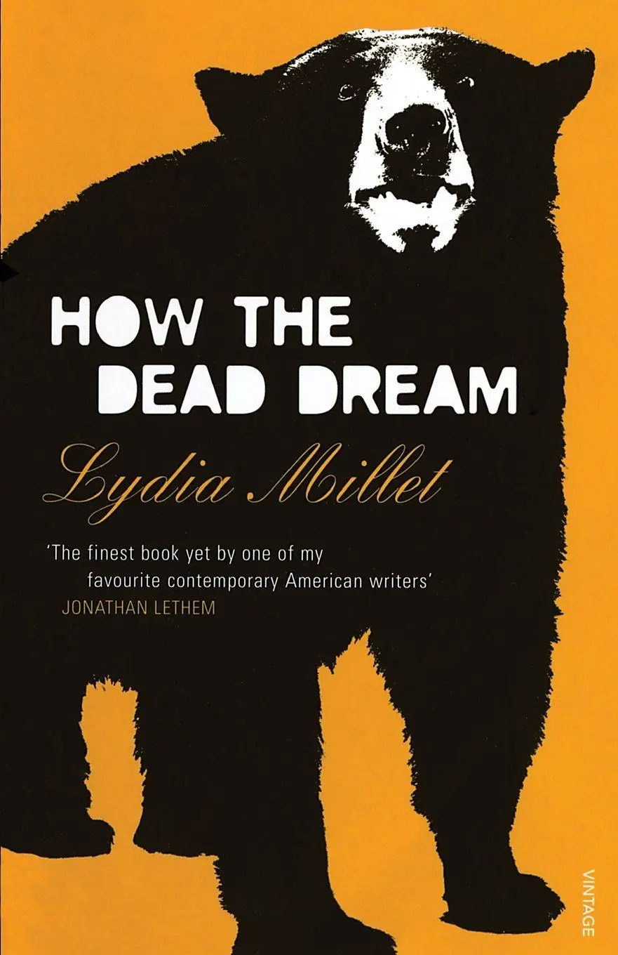 Cover: 9781784700638 | How the Dead Dream | Lydia Millet | Taschenbuch | Englisch | 2015