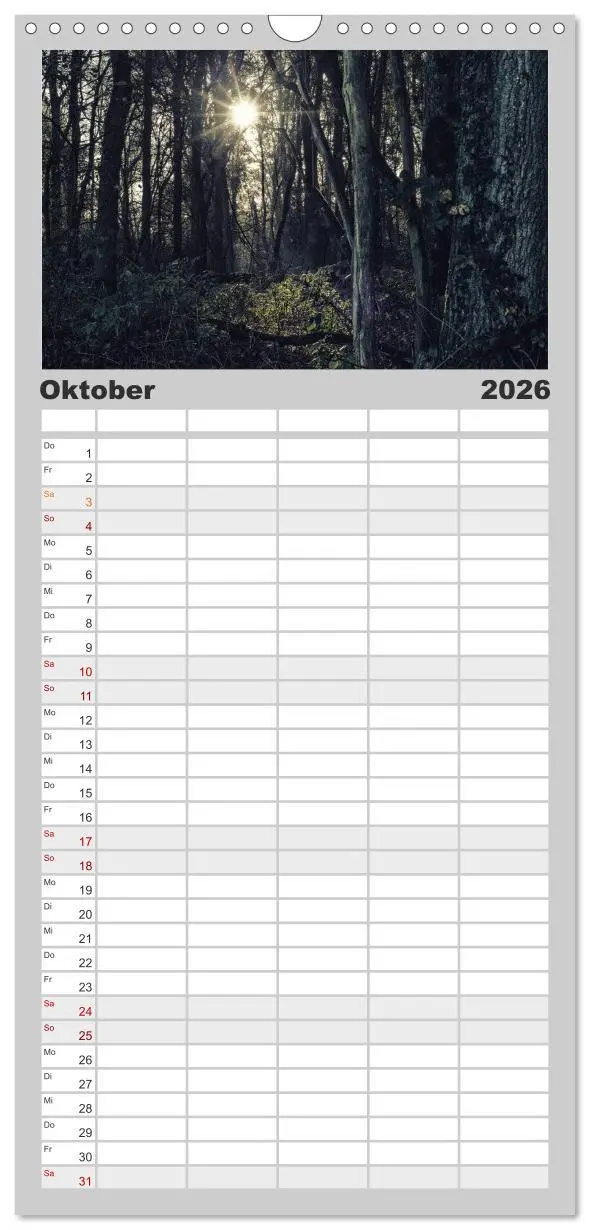 Bild: 9783516510638 | Familienplaner 2026 - Mystische Wälder mit 5 Spalten (Wandkalender,...