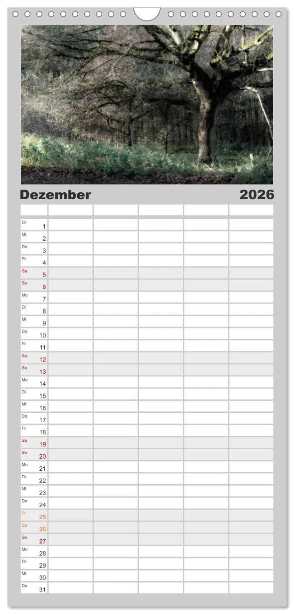 Bild: 9783516510638 | Familienplaner 2026 - Mystische Wälder mit 5 Spalten (Wandkalender,...