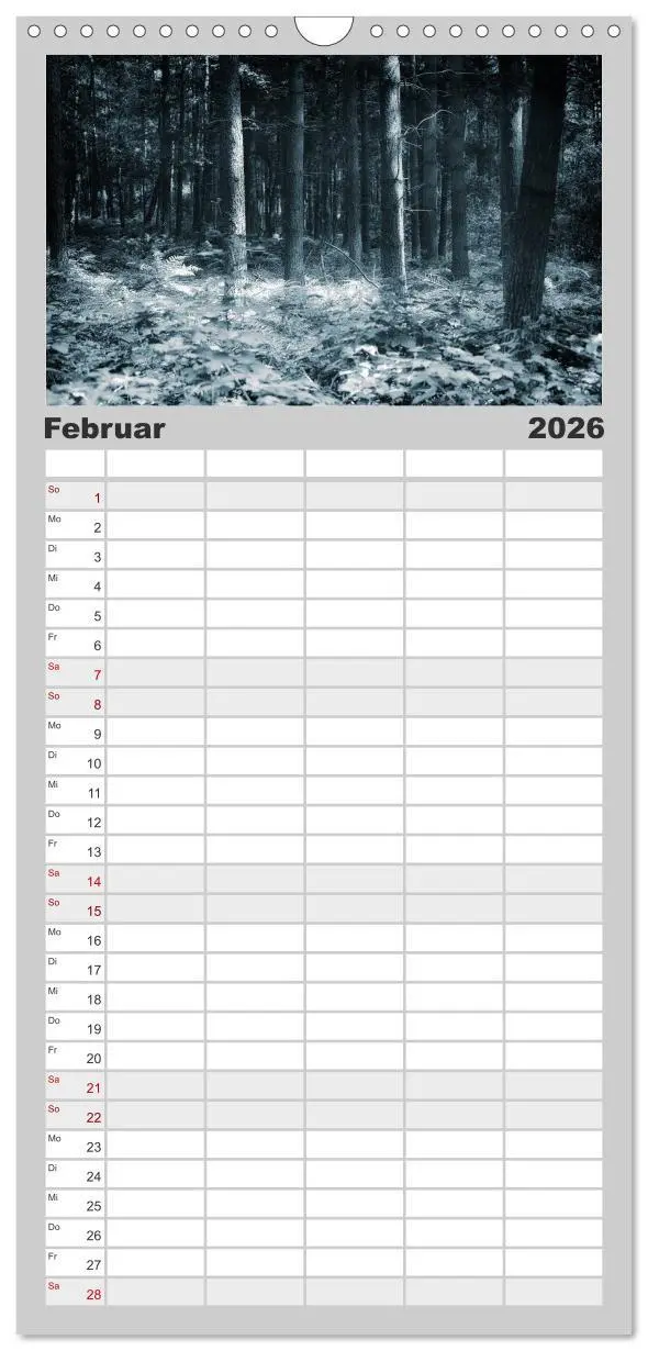 Bild: 9783516510638 | Familienplaner 2026 - Mystische Wälder mit 5 Spalten (Wandkalender,...