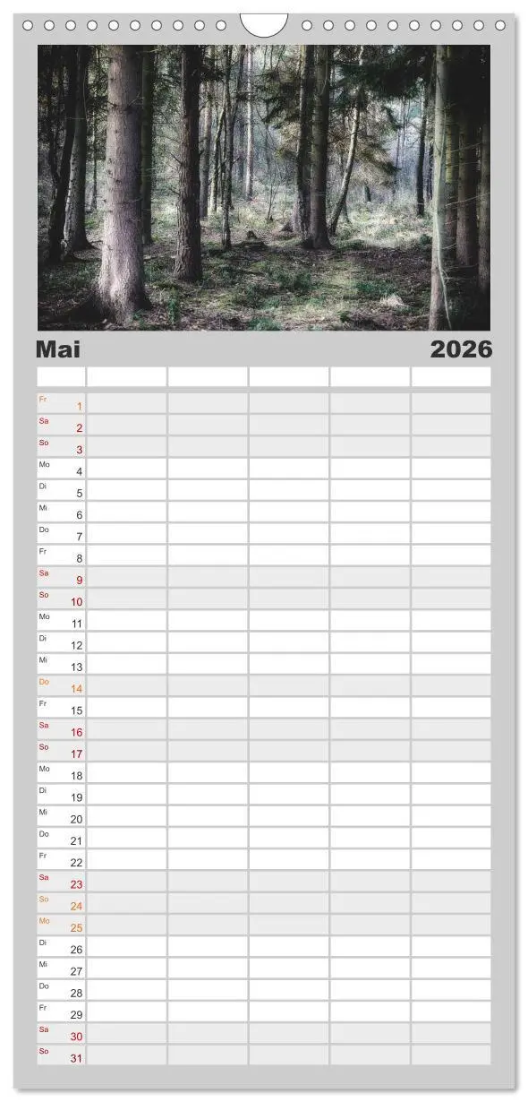Bild: 9783516510638 | Familienplaner 2026 - Mystische Wälder mit 5 Spalten (Wandkalender,...