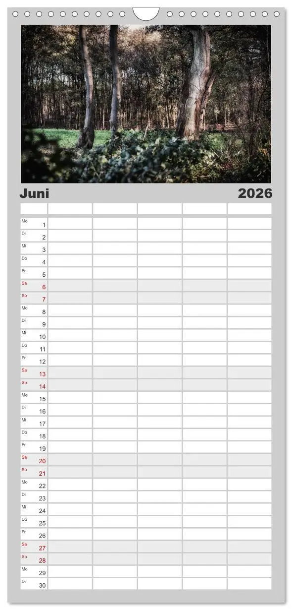 Bild: 9783516510638 | Familienplaner 2026 - Mystische Wälder mit 5 Spalten (Wandkalender,...