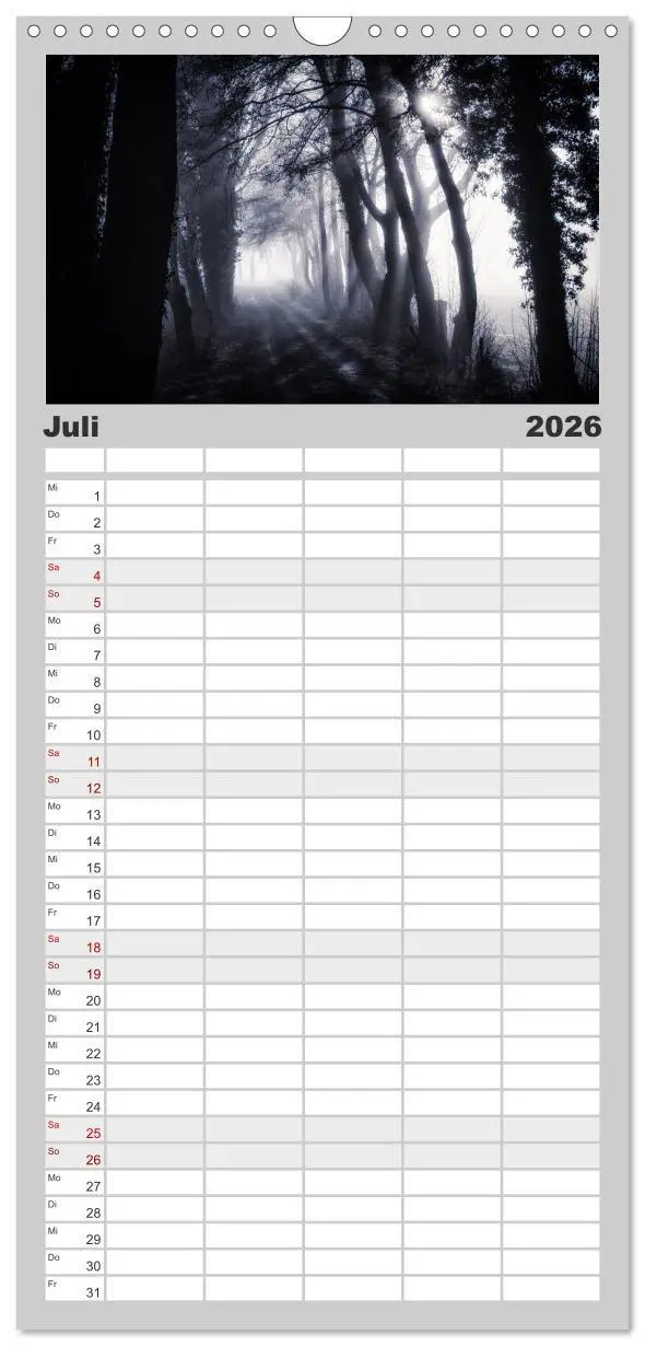 Bild: 9783516510638 | Familienplaner 2026 - Mystische Wälder mit 5 Spalten (Wandkalender,...