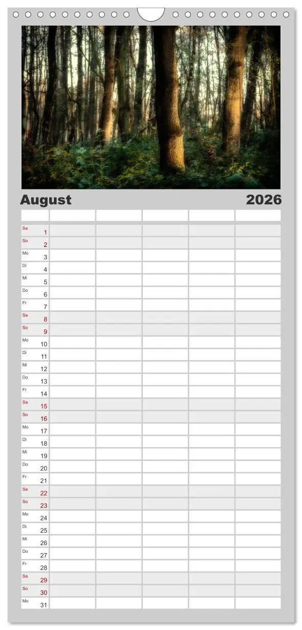 Bild: 9783516510638 | Familienplaner 2026 - Mystische Wälder mit 5 Spalten (Wandkalender,...