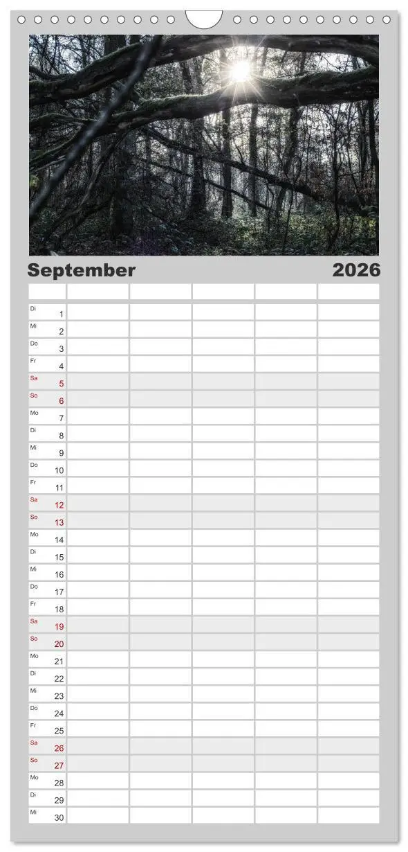 Bild: 9783516510638 | Familienplaner 2026 - Mystische Wälder mit 5 Spalten (Wandkalender,...