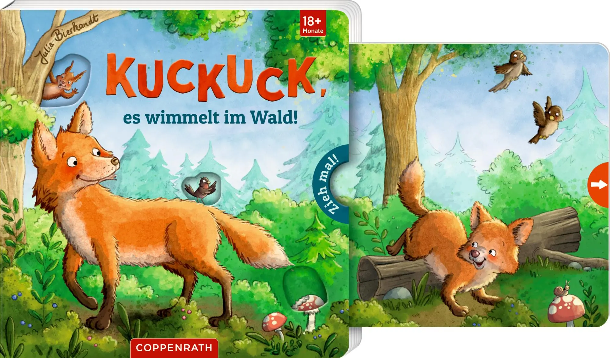 Cover: 9783649650638 | Zieh mal! Kuckuck, es wimmelt im Wald! | Julia Bierkandt | Buch | 2025