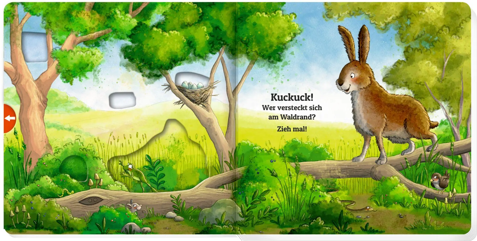 Bild: 9783649650638 | Zieh mal! Kuckuck, es wimmelt im Wald! | Julia Bierkandt | Buch | 2025
