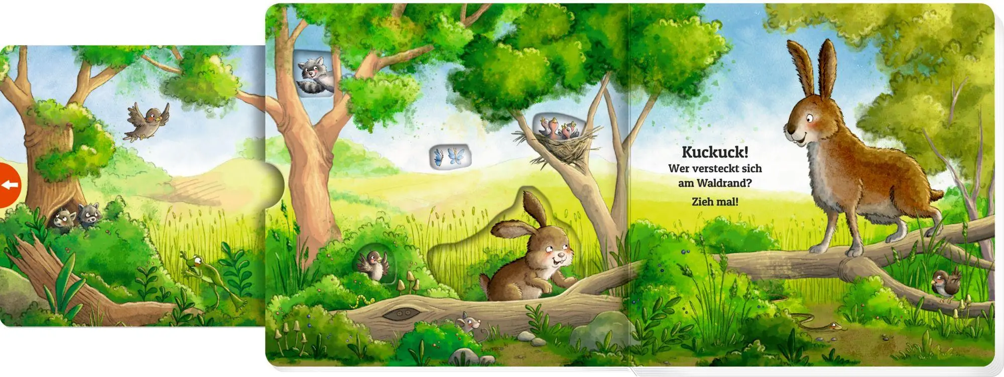 Bild: 9783649650638 | Zieh mal! Kuckuck, es wimmelt im Wald! | Julia Bierkandt | Buch | 2025