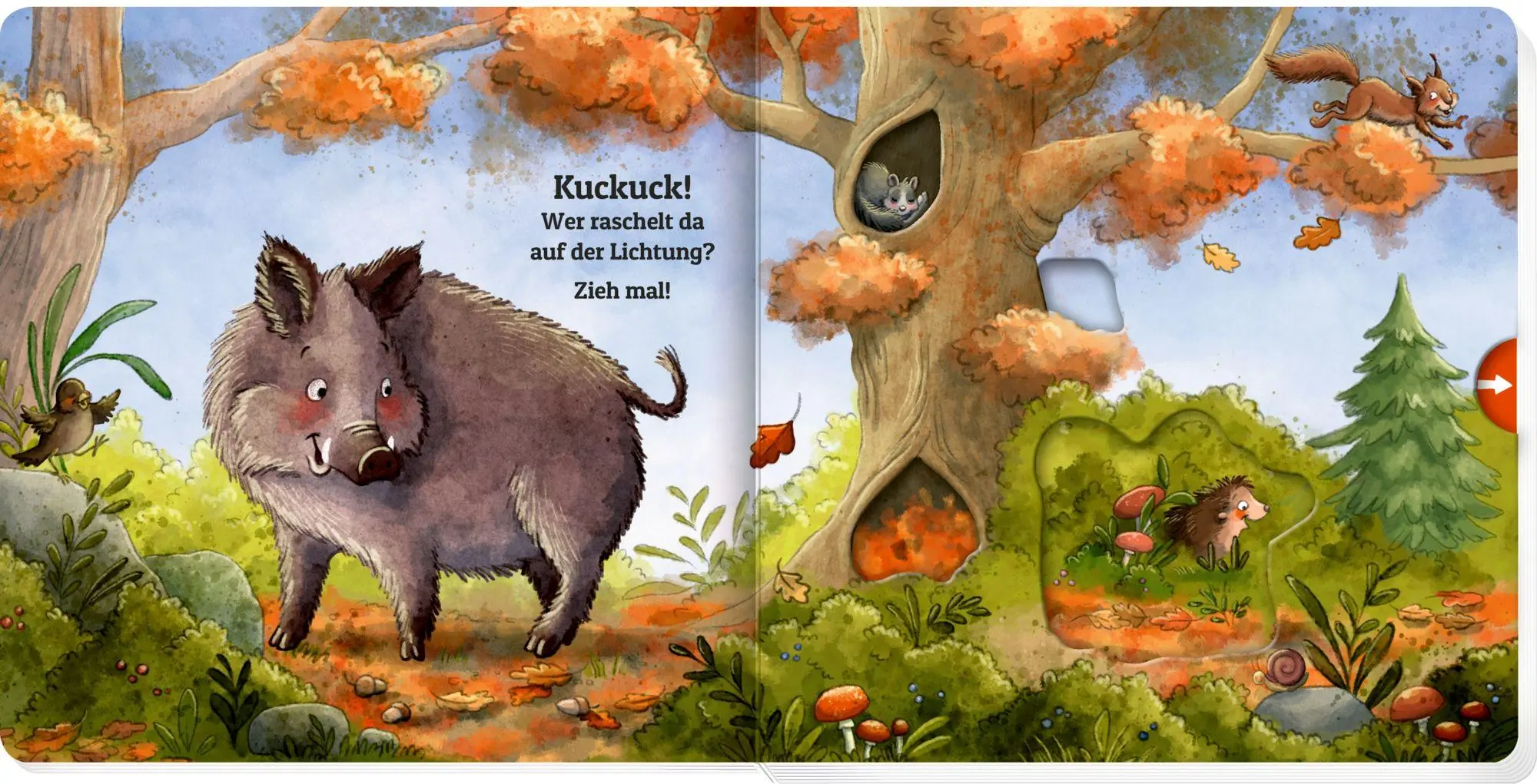 Bild: 9783649650638 | Zieh mal! Kuckuck, es wimmelt im Wald! | Julia Bierkandt | Buch | 2025