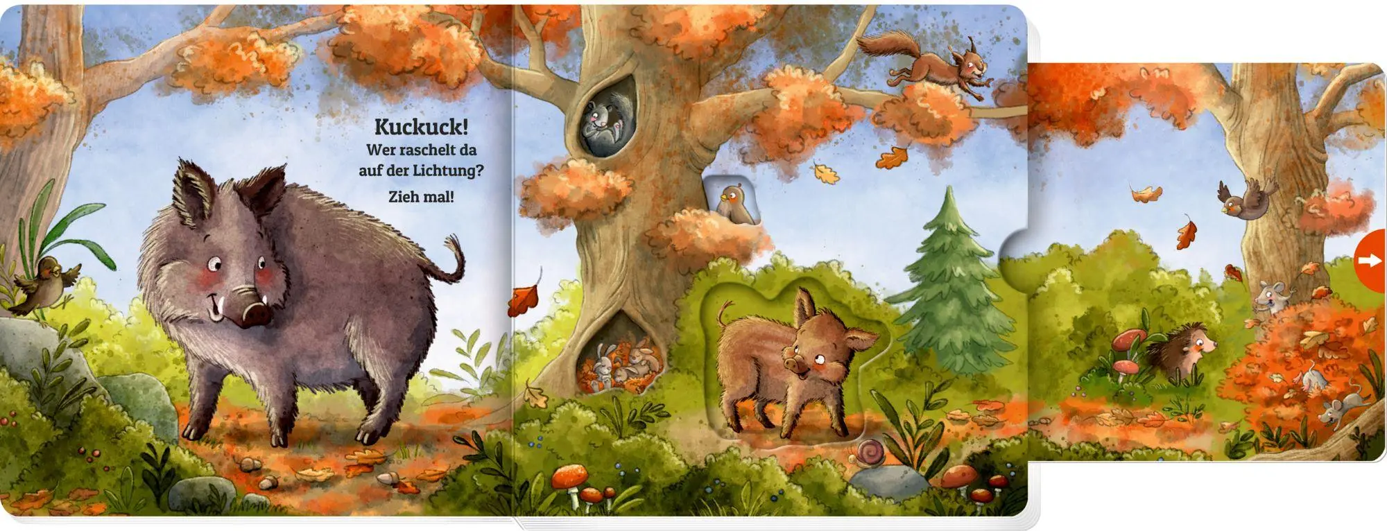 Bild: 9783649650638 | Zieh mal! Kuckuck, es wimmelt im Wald! | Julia Bierkandt | Buch | 2025