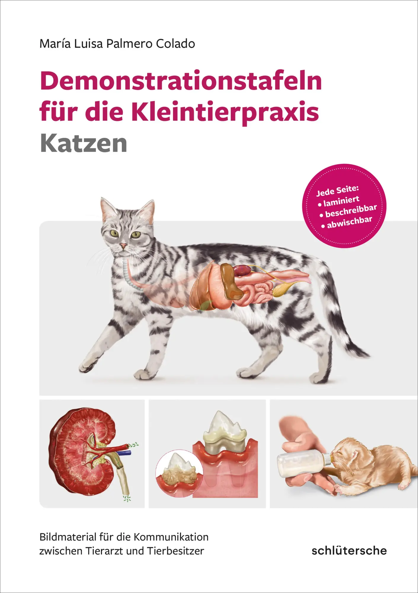 Cover: 9783842600638 | Demonstrationstafeln für die Kleintierpraxis Katzen | Colado | Buch
