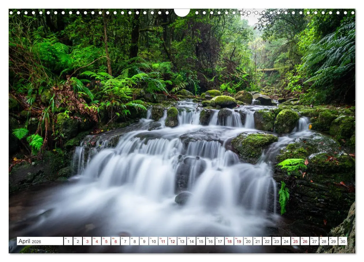 Bild: 9783457580738 | Madeira - Eine Perle im Atlantischen Ozean (Wandkalender 2026 DIN...