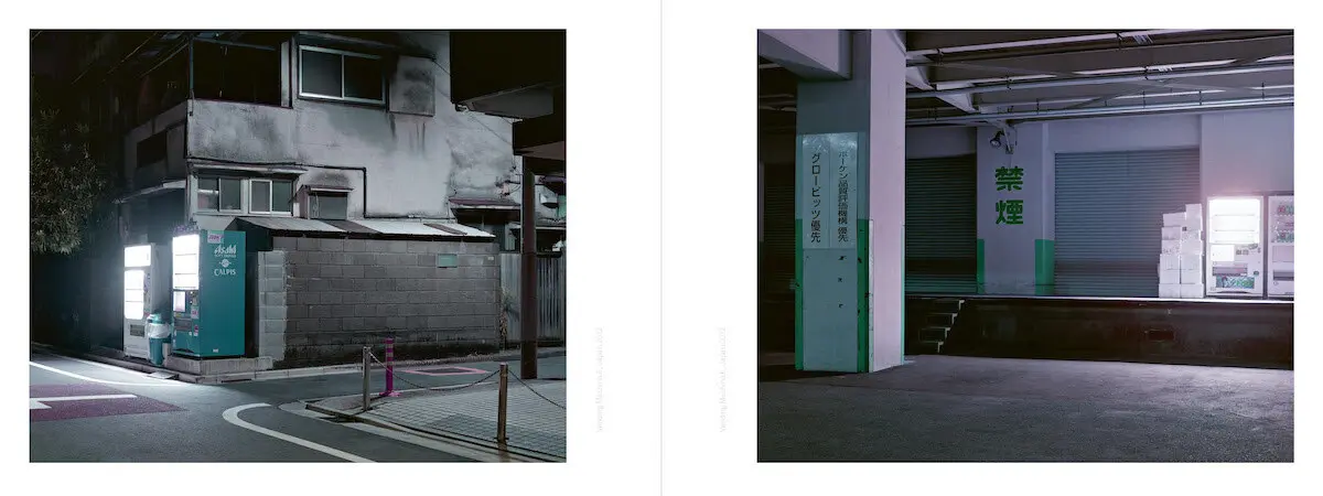 Bild: 9783775750738 | Benedikt Partenheimer | The Weather Is Fine | David Campany | Buch
