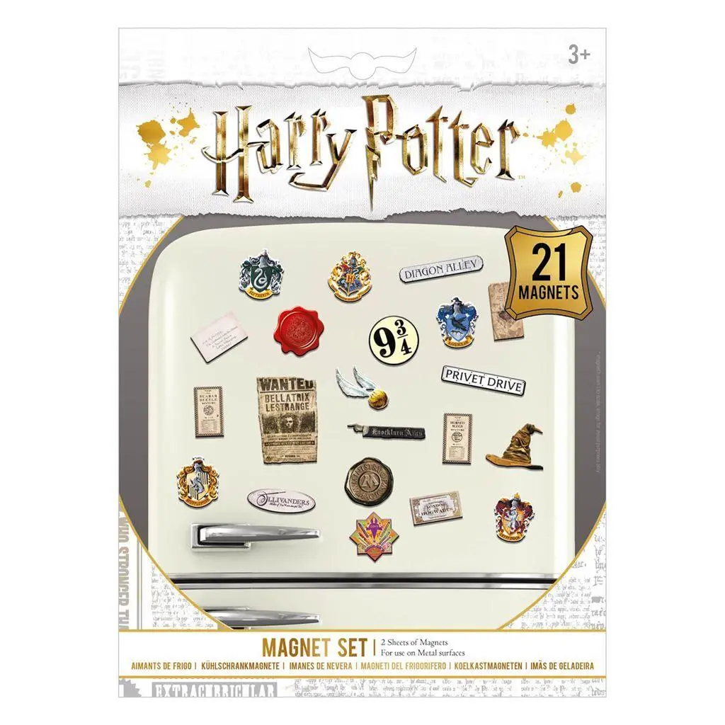 HARRY POTTER (CORE) MAGNET SET