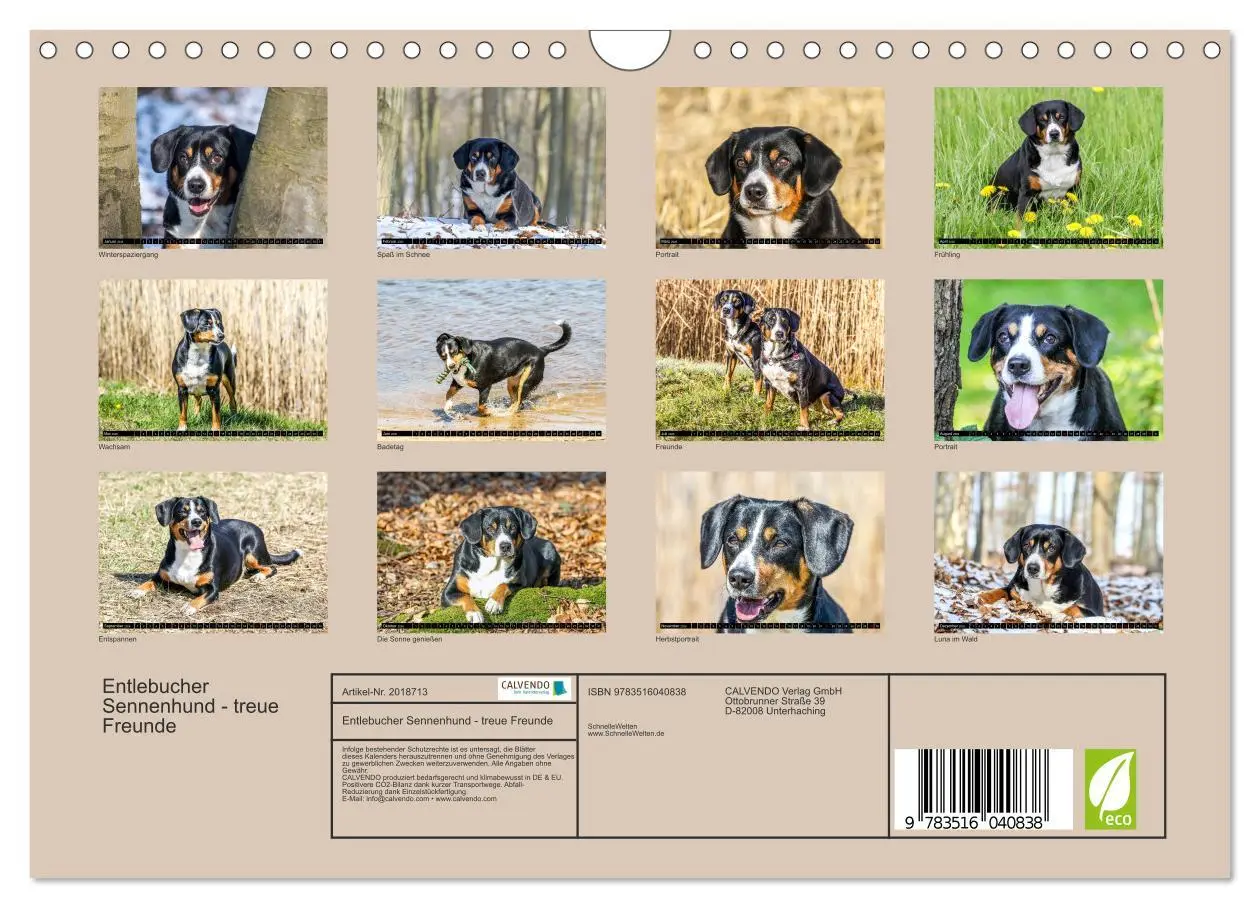 Bild: 9783516040838 | Entlebucher Sennenhund - treue Freunde (Wandkalender 2026 DIN A4...