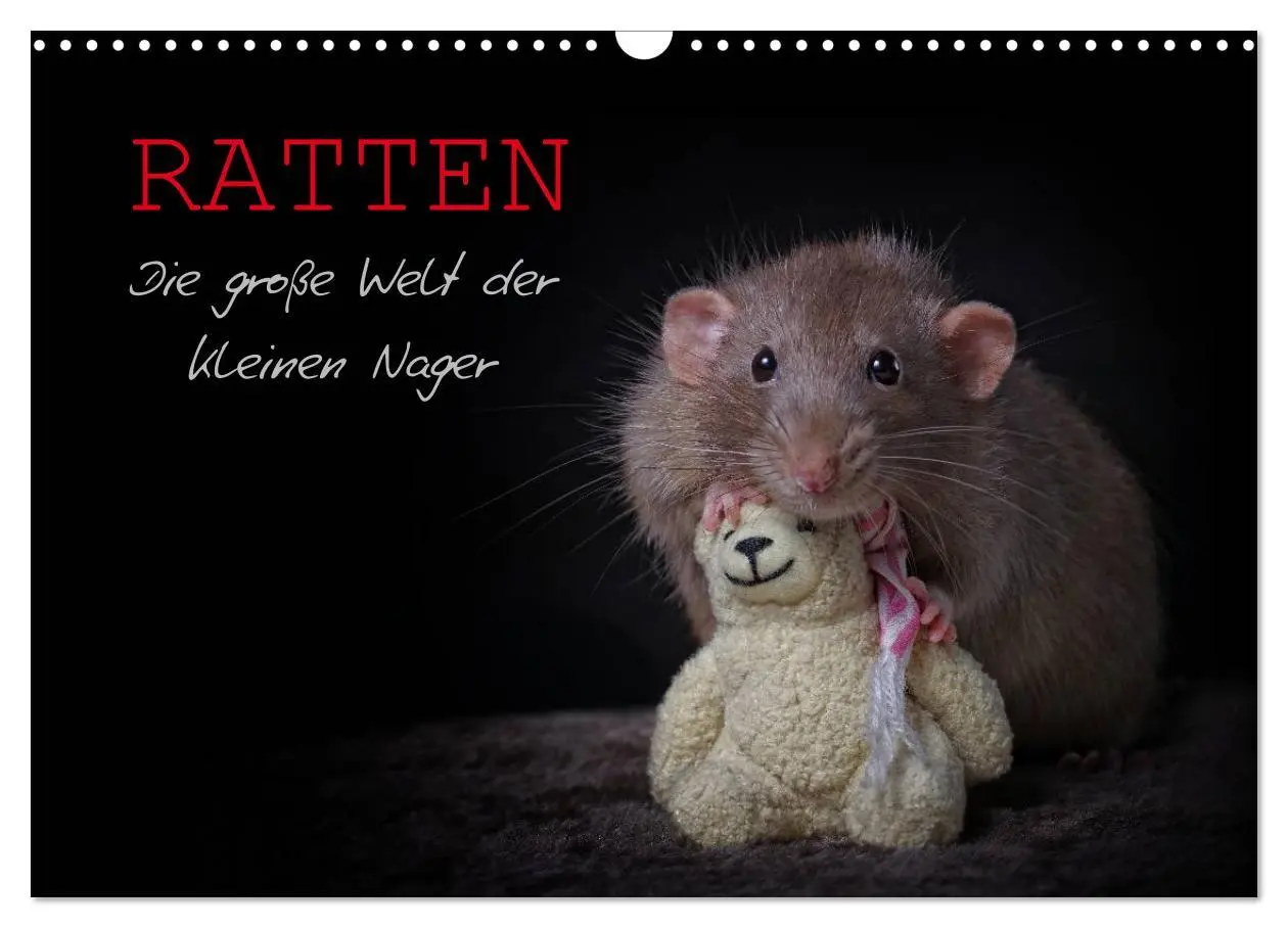 Cover: 9783516030938 | Ratten. Die große Welt der kleinen Nager (Wandkalender 2026 DIN A3...