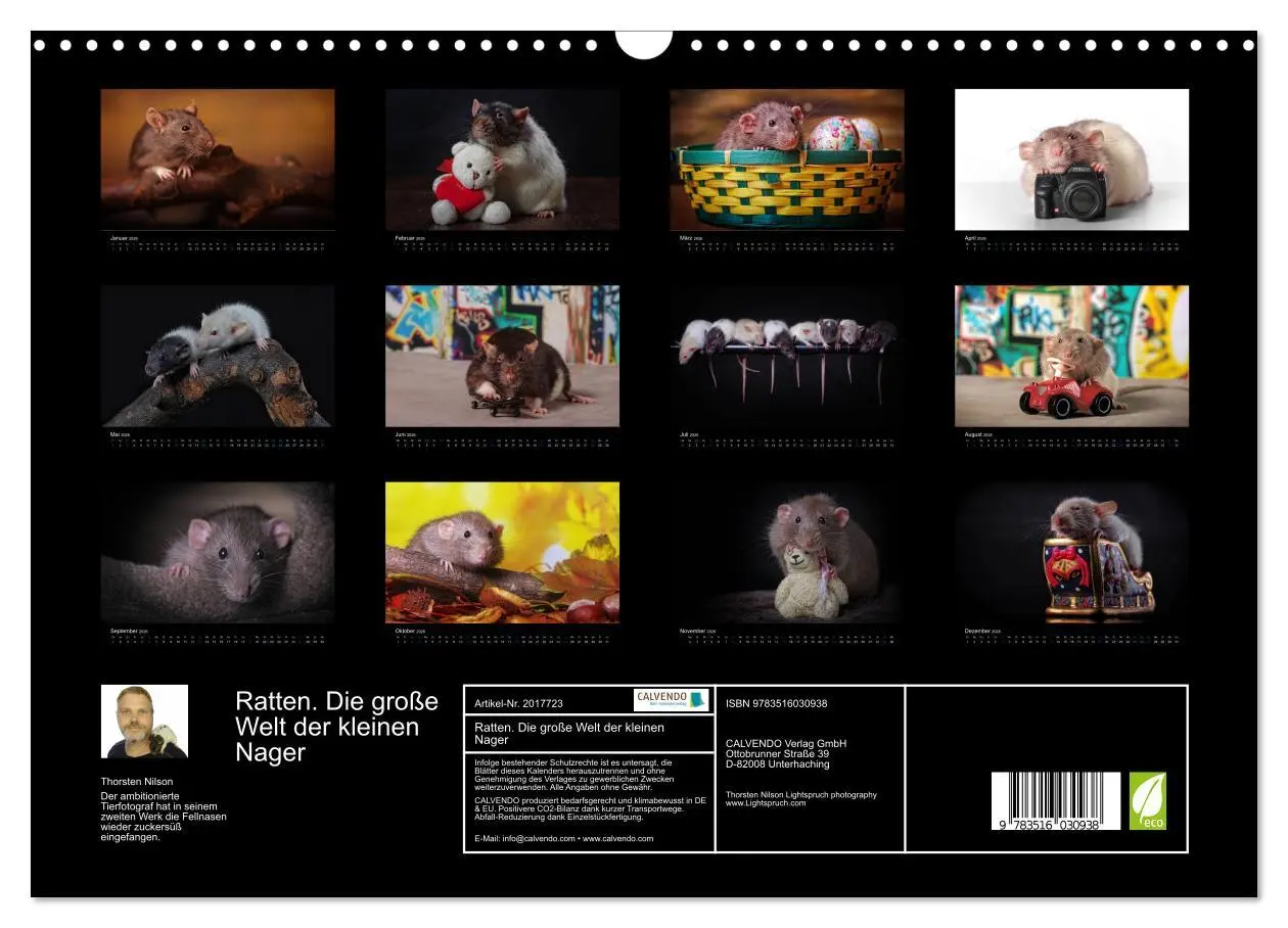 Bild: 9783516030938 | Ratten. Die große Welt der kleinen Nager (Wandkalender 2026 DIN A3...