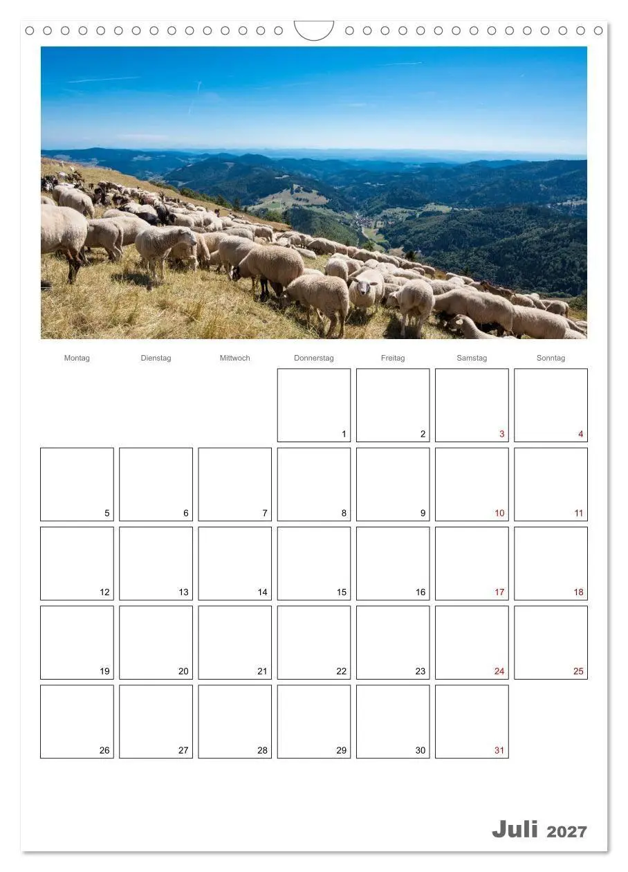 Bild: 9783569701038 | Schafe - 12 Monate in der Herde (Wandkalender 2027 DIN A3 hoch),...