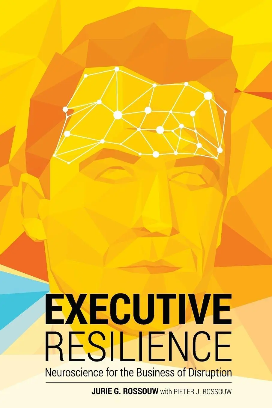 Cover: 9780994241238 | Executive Resilience | Neuroscience for the Business of Disruption