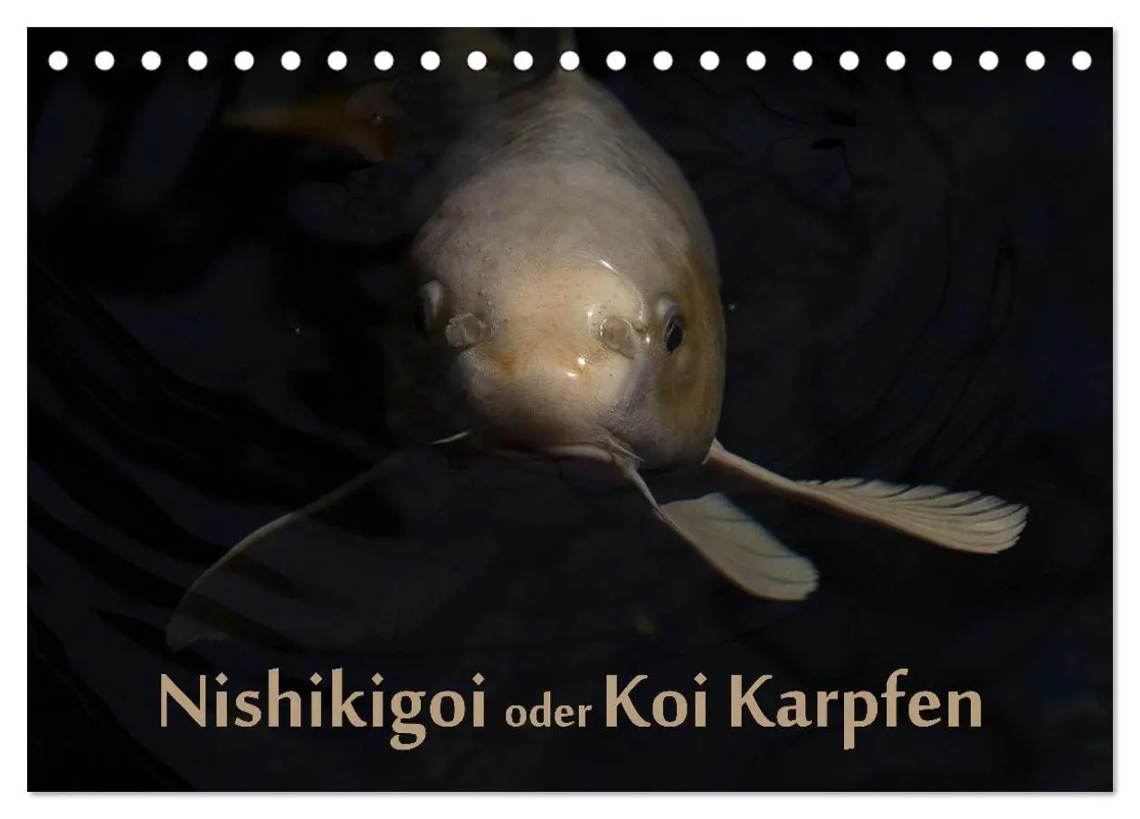 Cover: 9783516141238 | Nishikigoi oder Koi Karpfen (Tischkalender 2026 DIN A5 quer),...