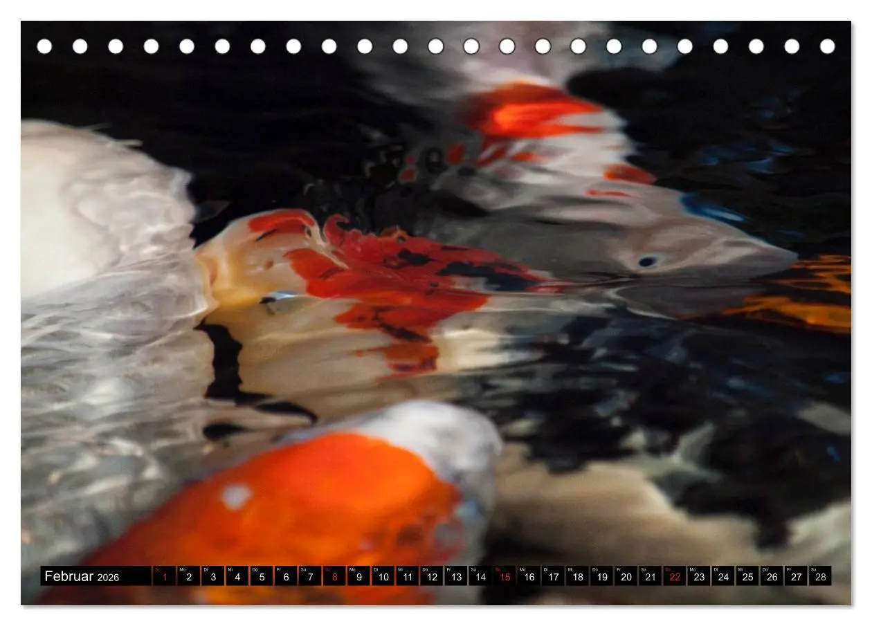 Bild: 9783516141238 | Nishikigoi oder Koi Karpfen (Tischkalender 2026 DIN A5 quer),...